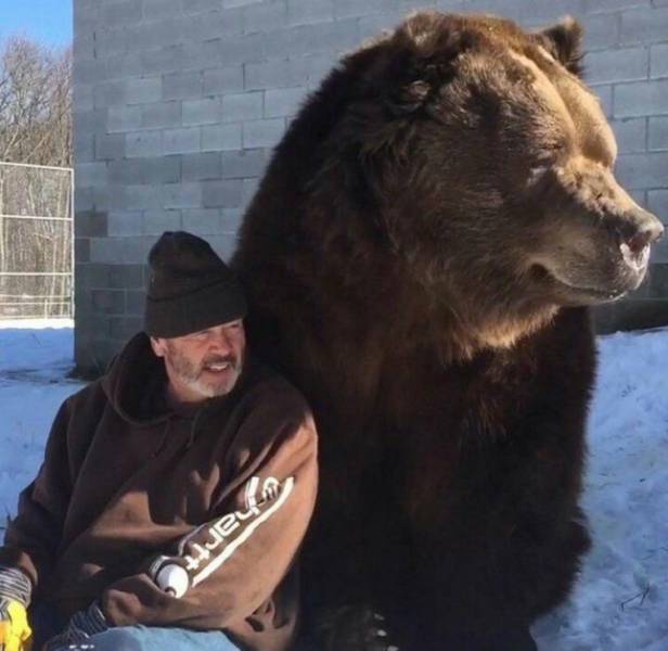daily picdump 93 pics 22.html - 93 HD Photos | Premium Gallery 2017