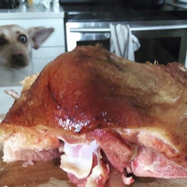 daily picdump 95 pics 3.html - 95 HD Photos | Premium Gallery 2017