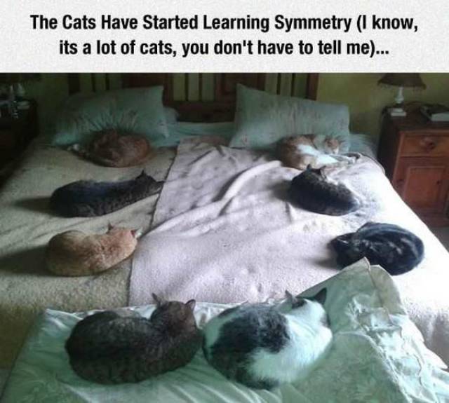 daily picdump 96 pics 4.html - 96 HD Photos | Premium Gallery 2017