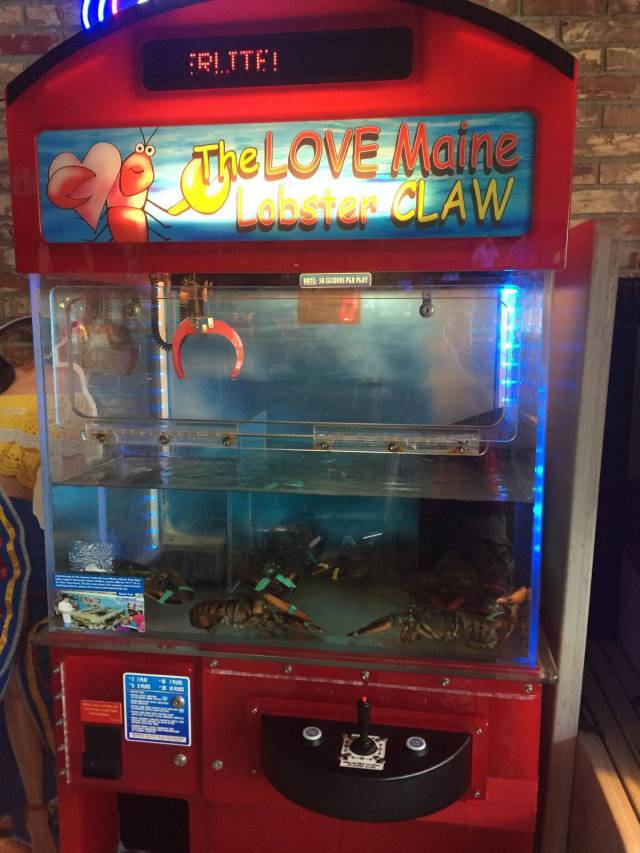 daily picdump 96 pics 4.html - 96 HD Photos | Premium Gallery 2017
