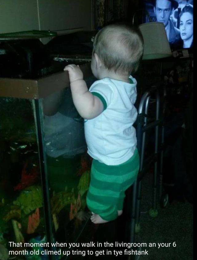 daily picdump 96 pics 4.html - 96 HD Photos | Premium Gallery 2017