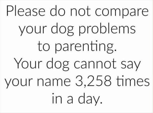 funny picdump 52 pics 16.html - 52 HD Photos | Premium Gallery 2017