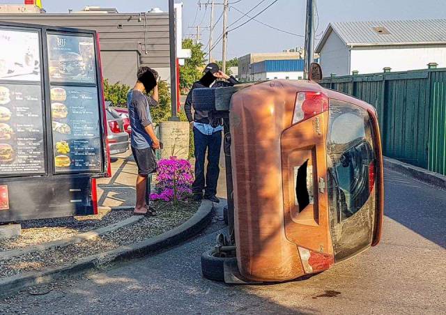 Daily Picdump