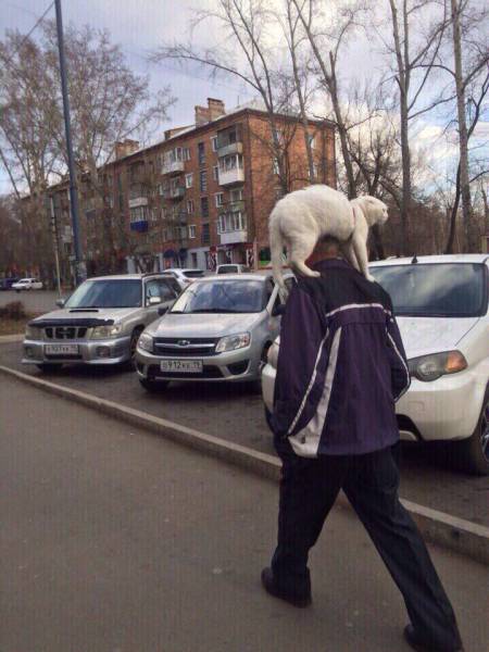 daily picdump 95 pics 1.html - 95 HD Photos | Premium Gallery 2017