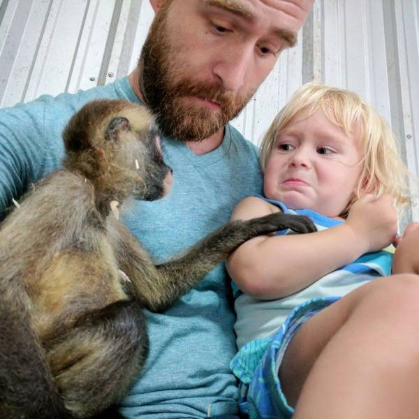 Daily Picdump
