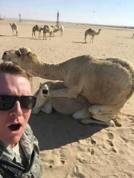 Daily Picdump
