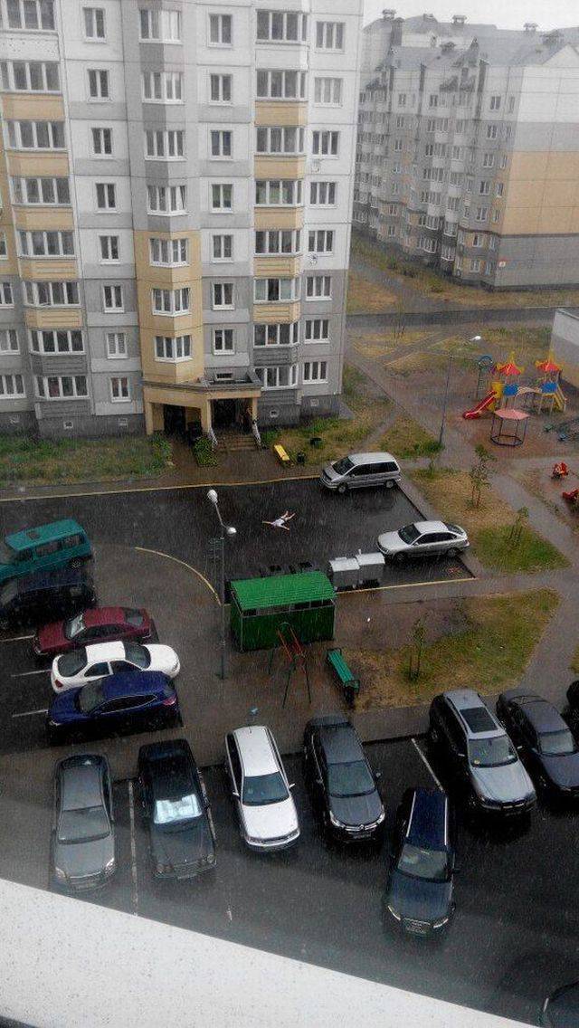 Daily Picdump