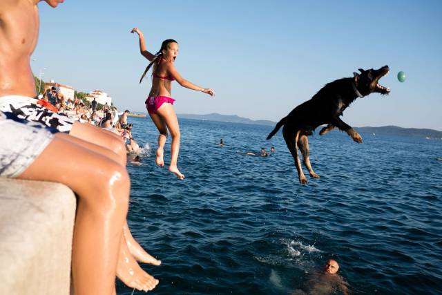 Daily Picdump