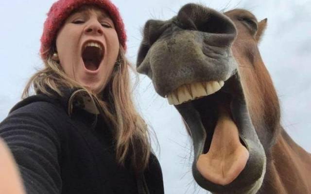 Daily Picdump