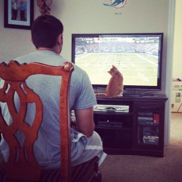 Daily Picdump