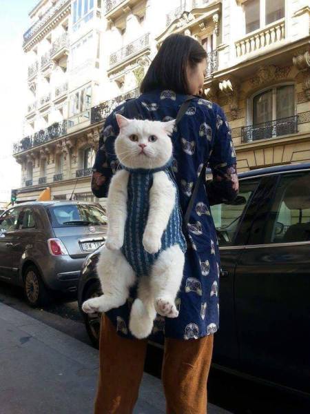 Daily Picdump