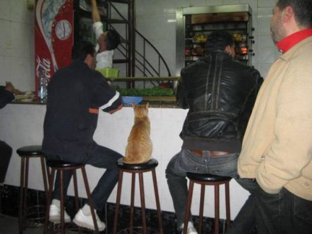 daily picdump 96 pics 3.html - 96 HD Photos | Premium Gallery 2017