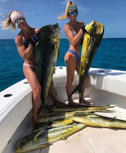 daily picdump 96 pics 3.html - 96 HD Photos | Premium Gallery 2017