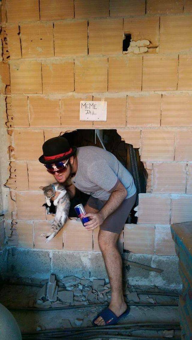Daily Picdump