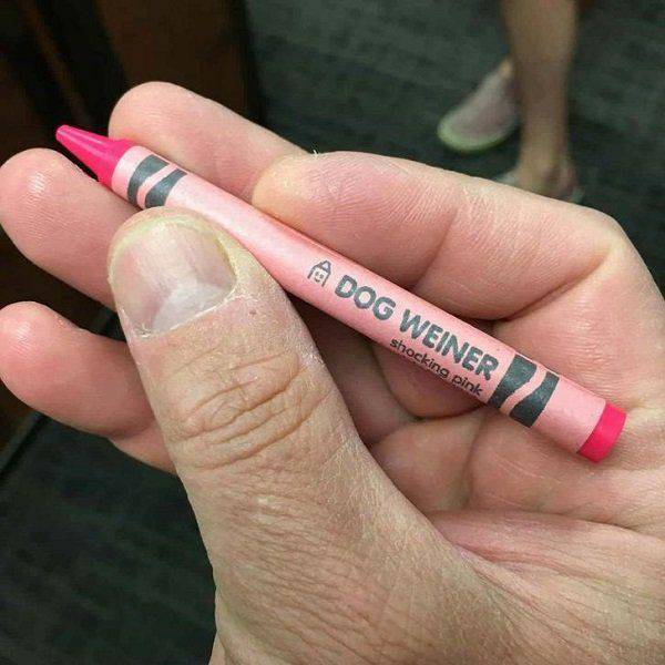 What And Why The Hell?!