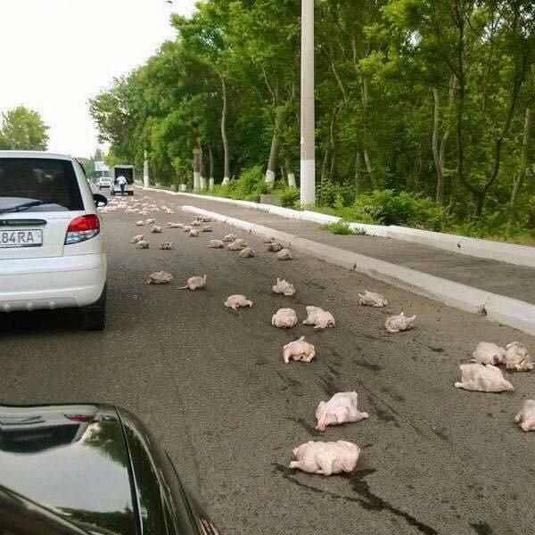 What And Why The Hell?!