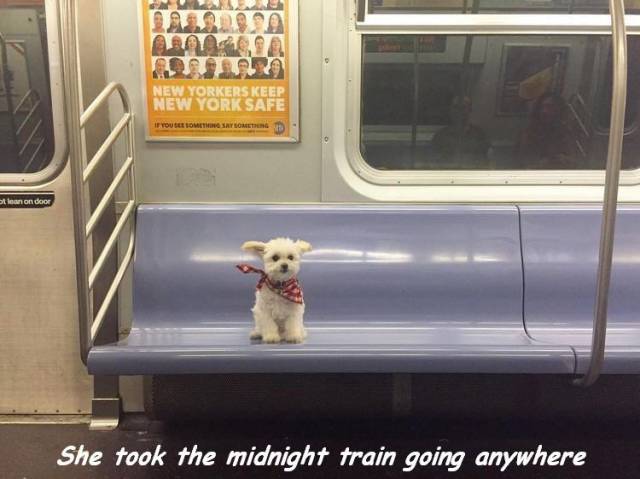 Daily Picdump