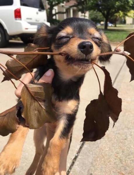 Daily Picdump