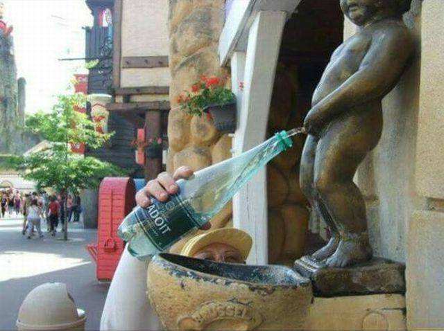 Daily Picdump