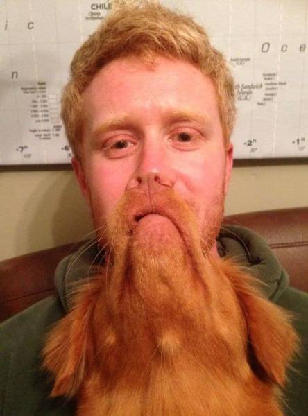 Pictures That Will Make You Look Twice