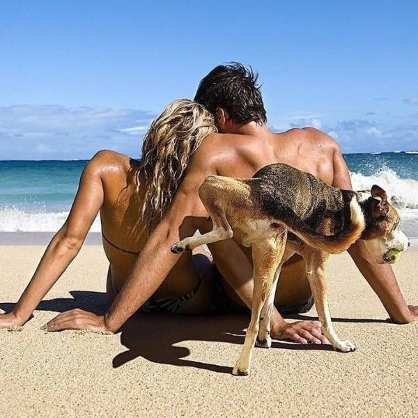 Daily Picdump