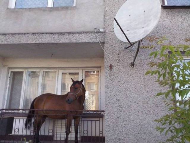 If You Visit Russia, Check The Balconies First