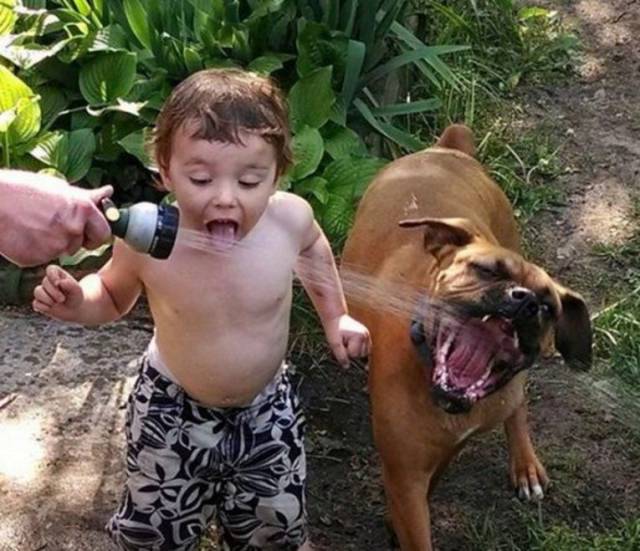 daily picdump 103 pics 9.html - 103 HD Photos | Premium Gallery 2017