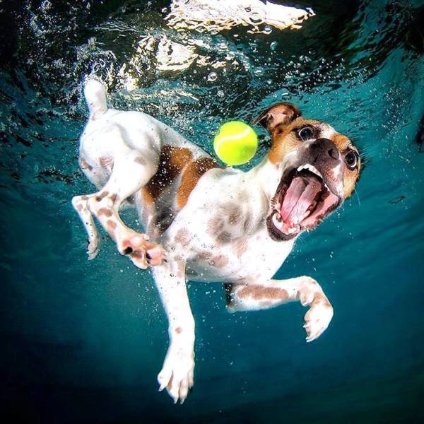 daily picdump 103 pics 9.html - 103 HD Photos | Premium Gallery 2017
