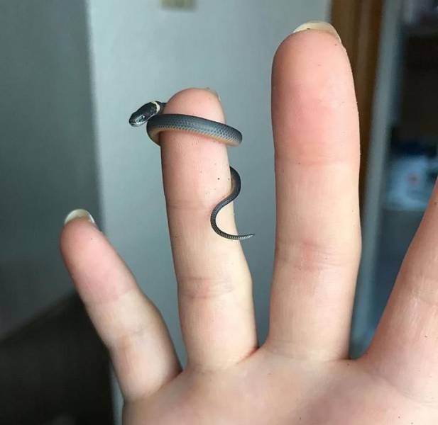 daily picdump 103 pics 9.html - 103 HD Photos | Premium Gallery 2017