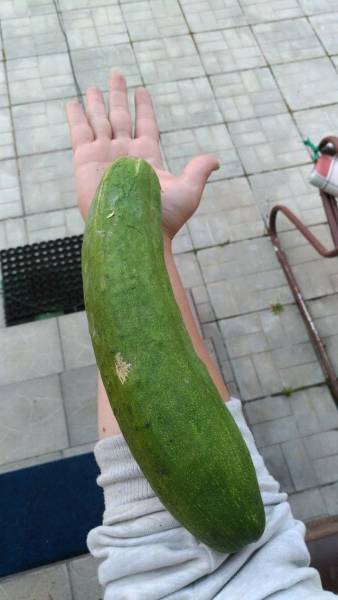 daily picdump 103 pics 9.html - 103 HD Photos | Premium Gallery 2017
