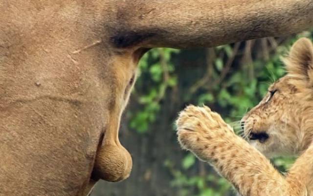 daily picdump 103 pics 9.html - 103 HD Photos | Premium Gallery 2017