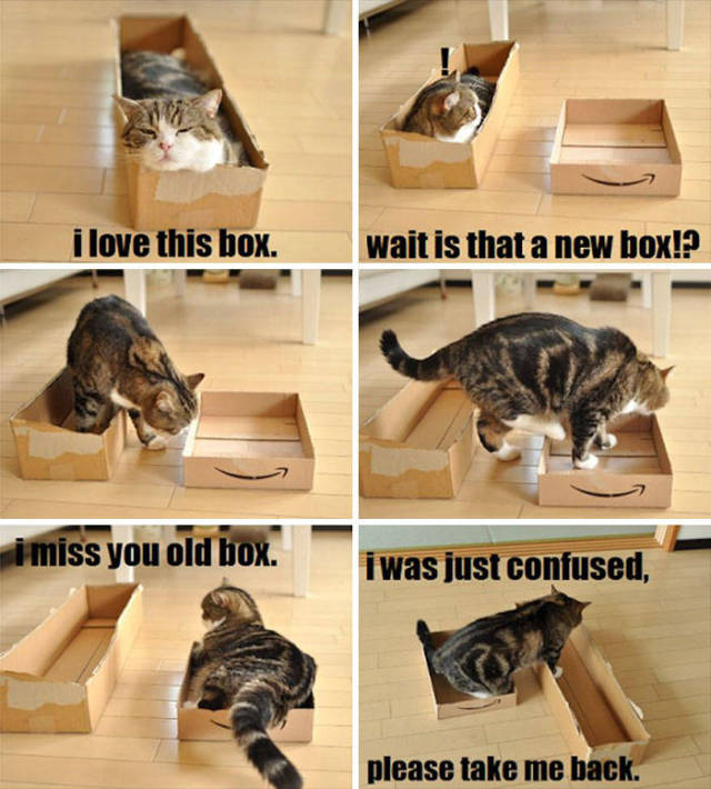 If It Fits, I Sits