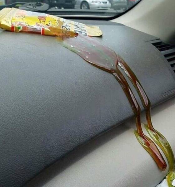 Morning Picdump