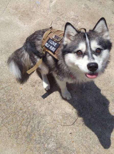 Morning Picdump