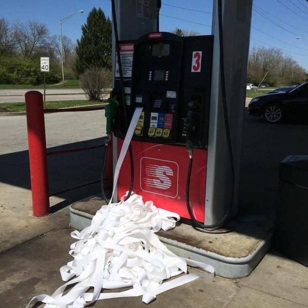 daily picdump weekend edition 55 pics 27.html - 55 HD Photos | Premium Gallery 2017