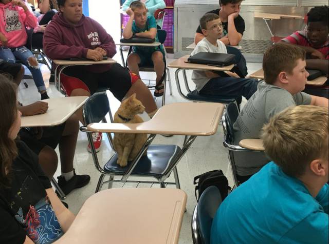 daily picdump weekend edition 55 pics 27.html - 55 HD Photos | Premium Gallery 2017