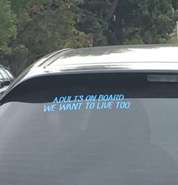 daily picdump weekend edition 55 pics 27.html - 55 HD Photos | Premium Gallery 2017