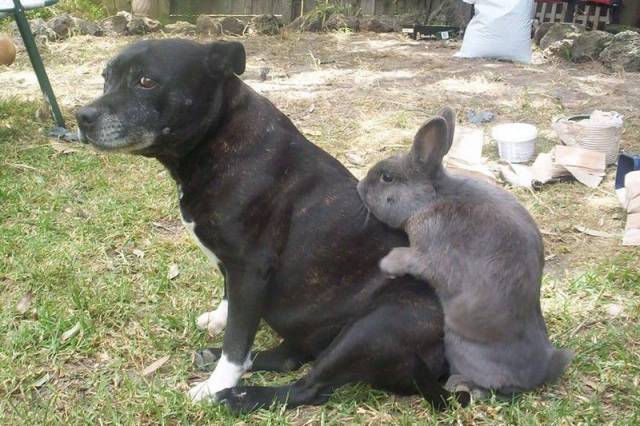Daily Picdump