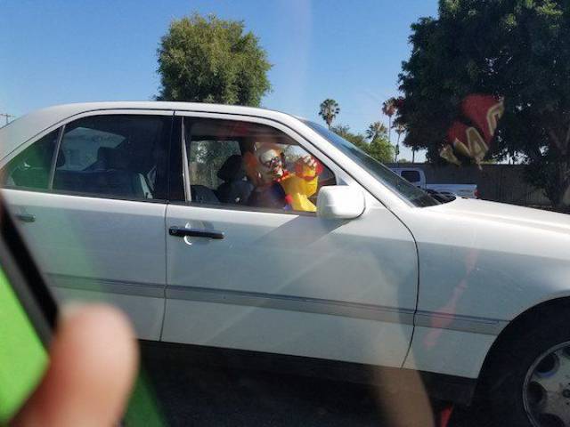 Daily Picdump