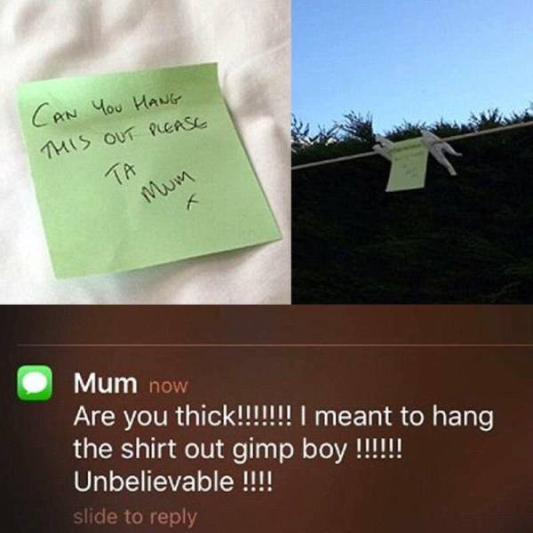 Daily Picdump
