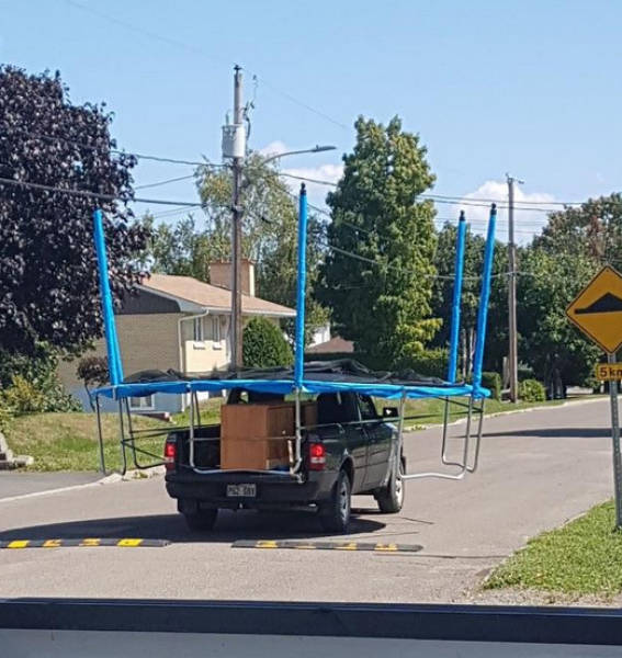 Morning Picdump