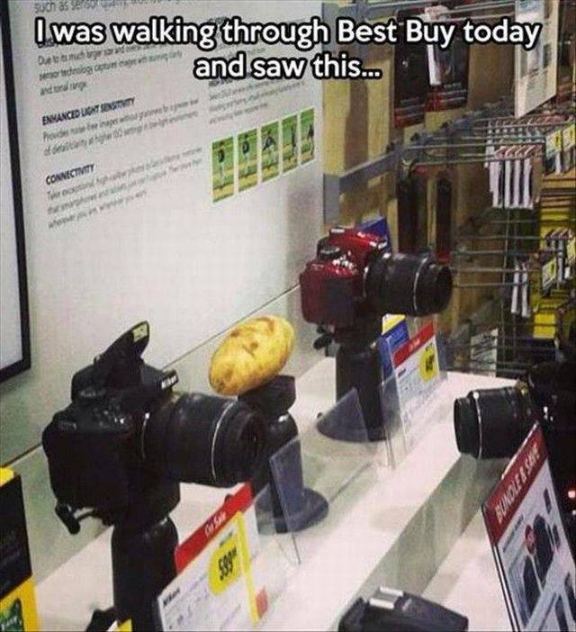 Daily Picdump