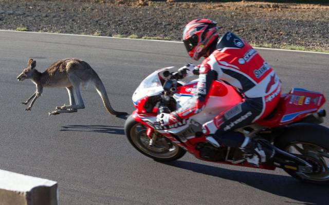 Daily Picdump
