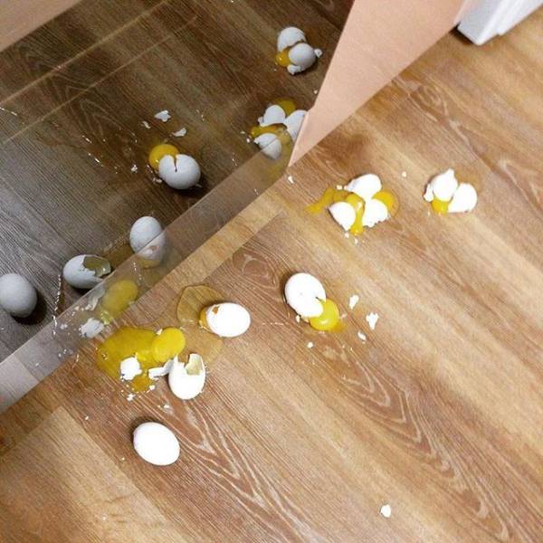 daily picdump 102 pics 29.html - 102 HD Photos | Premium Gallery 2017