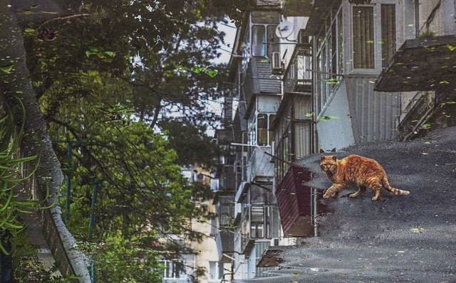 daily picdump 102 pics 29.html - 102 HD Photos | Premium Gallery 2017