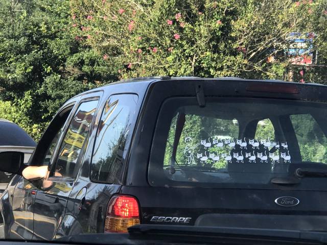 daily picdump 102 pics 29.html - 102 HD Photos | Premium Gallery 2017