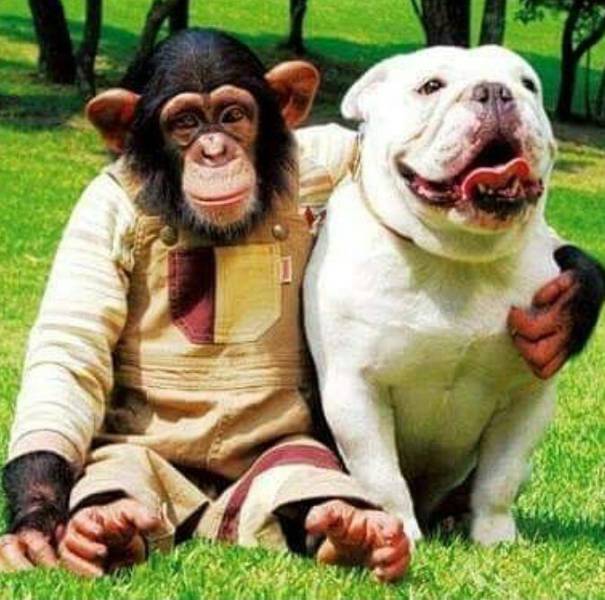 daily picdump 102 pics 29.html - 102 HD Photos | Premium Gallery 2017