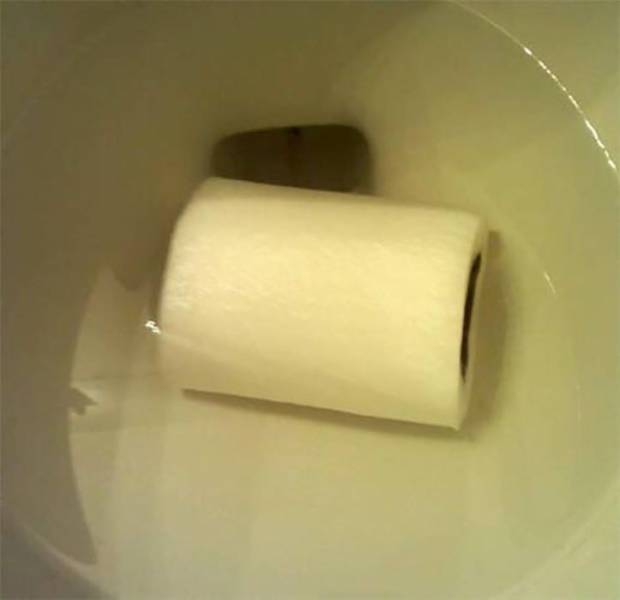 daily picdump 102 pics 29.html - 102 HD Photos | Premium Gallery 2017