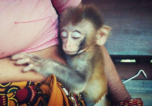 daily picdump 102 pics 29.html - 102 HD Photos | Premium Gallery 2017