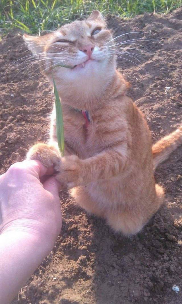 daily picdump 102 pics 29.html - 102 HD Photos | Premium Gallery 2017